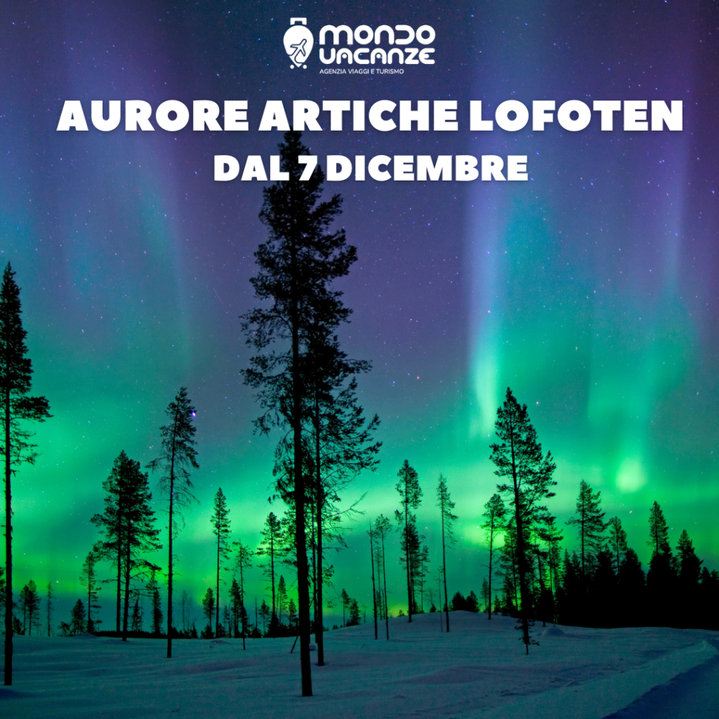 BANNER PUBBLICITARIO PER VIAGGIO 7 DICEMBRE IN NORVEGIA