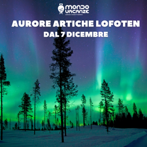BANNER PUBBLICITARIO PER VIAGGIO 7 DICEMBRE IN NORVEGIA