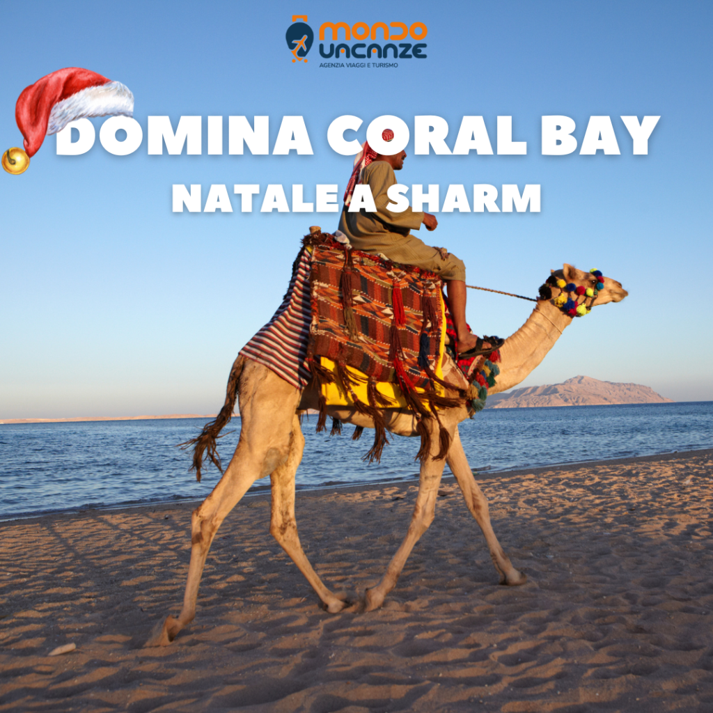 banner pubblicitario per viaggio a NAtale a Sharm