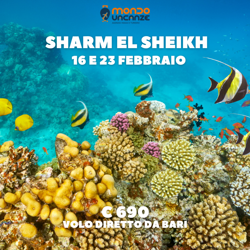 viaggio da bari a sharm el sheikh a febbraio tutto compreso