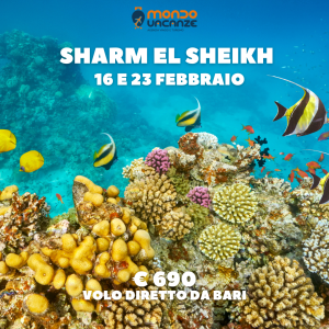 viaggio da bari a sharm el sheikh a febbraio tutto compreso